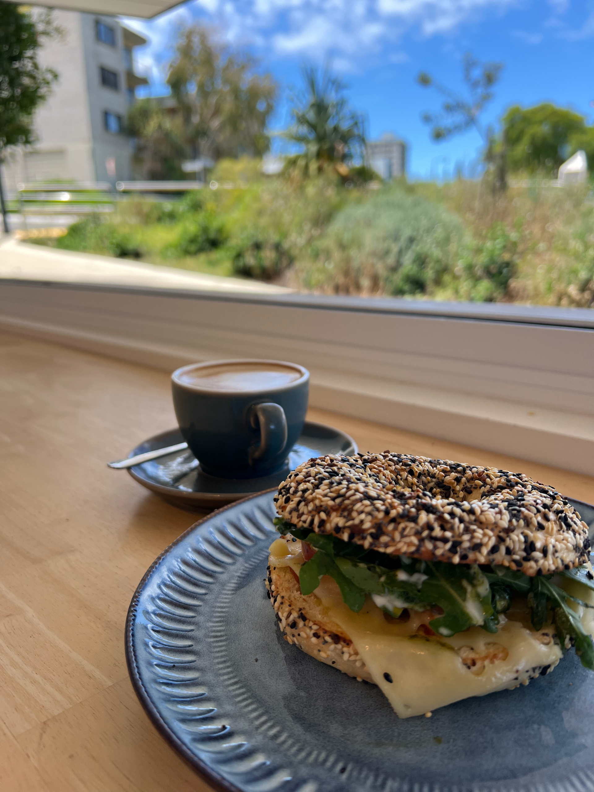 Best bagels sunshint coact